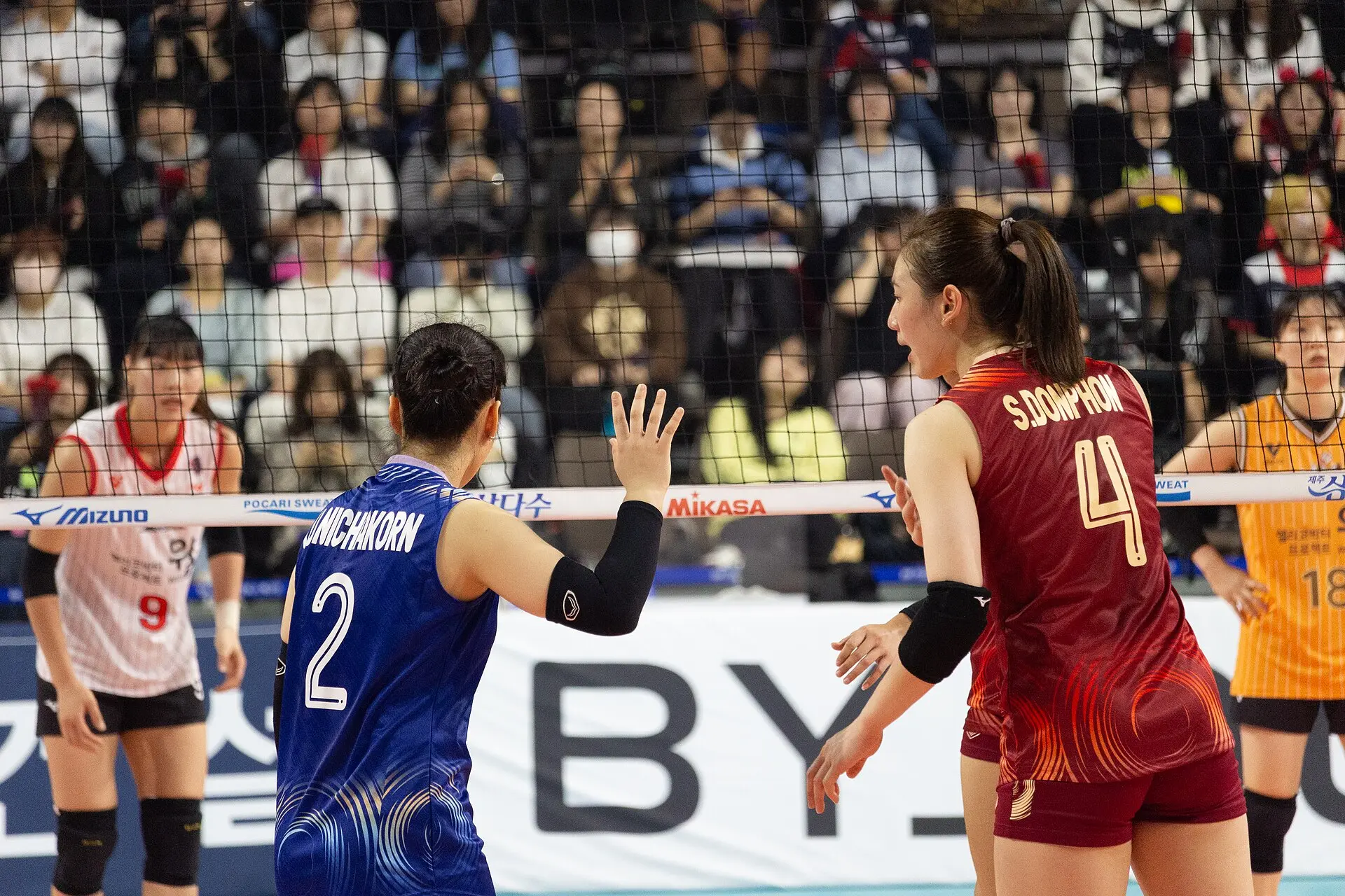 ทีมชาติไทยในเวทีวอลเลย์บอลนานาชาติ จุดแข็งและเสน่ห์ที่แฟนบอลหลงรัก