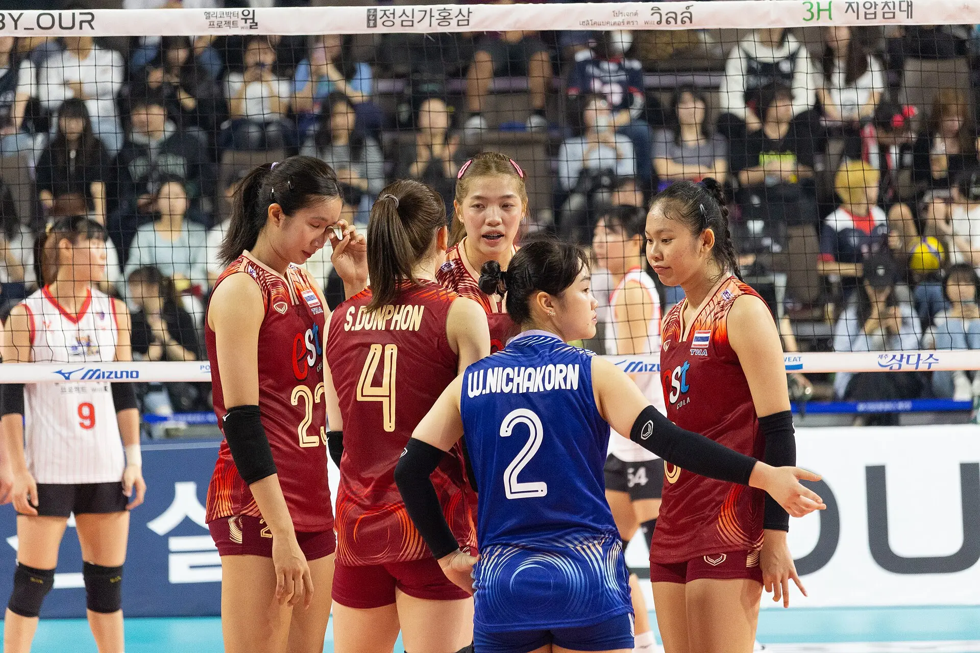 6 ตำแหน่งผู้เล่นวอลเลย์บอล หน้าที่และความสำคัญในสนามที่แฟนบอลควรรู้